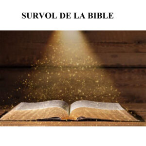 Survol De La Bible - Digital Download